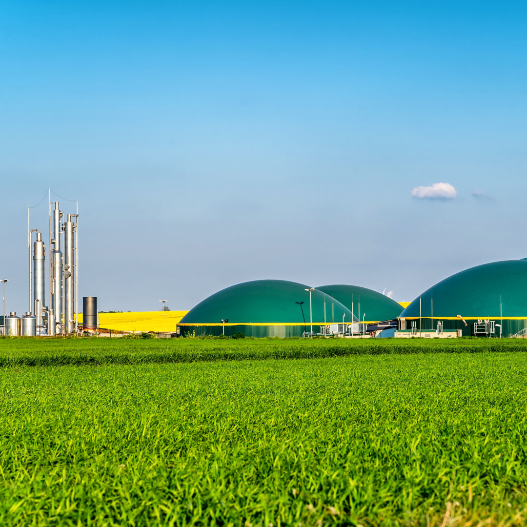 biomasa y biogas