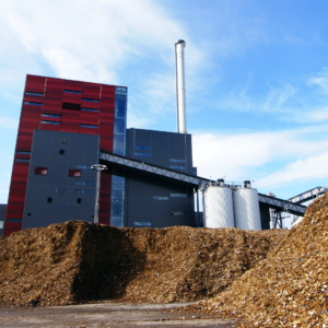 biomasa curtis