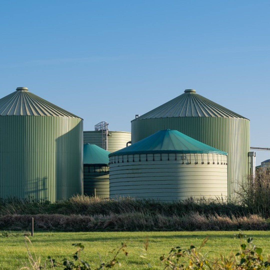 Proyectos Biogas
